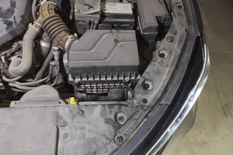 Used CHANGAN Eado 2021 PLUS Blue Whale NE 1.4T GDI DCT Flagship Model Engine Bay Left