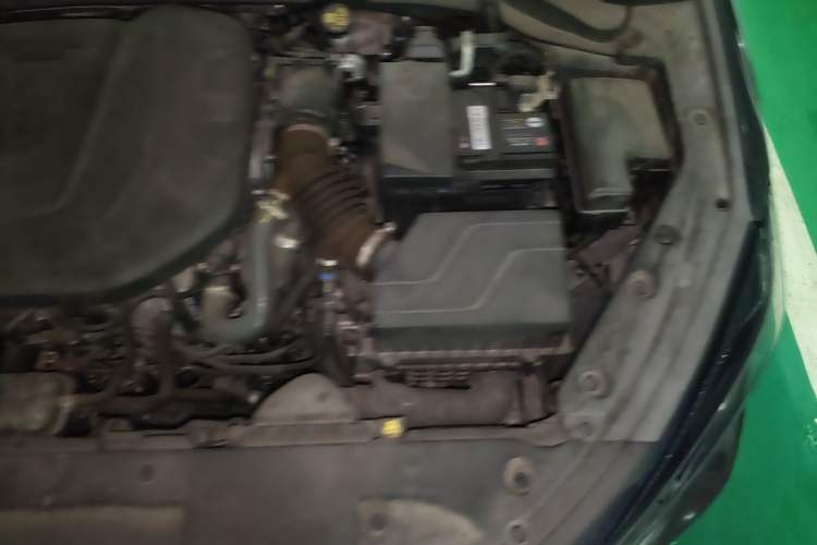 Used CHANGAN Eado 2021 PLUS Blue Whale NE 1.4T GDI DCT Prestige Model Engine Bay Left
