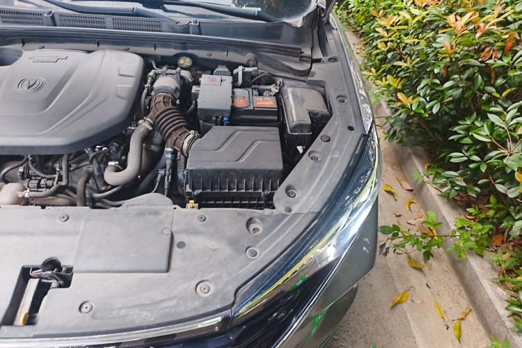 Used CHANGAN Eado 2021 PLUS Blue Whale NE 1.4T GDI DCT Prestige Model Engine Bay Left