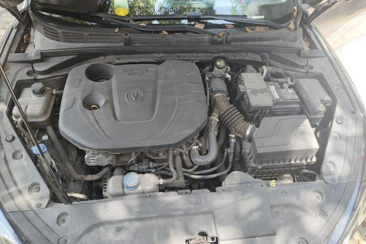 Used CHANGAN Eado 2021 PLUS Blue Whale NE 1.4T GDI DCT Prestige Model Engine Bay