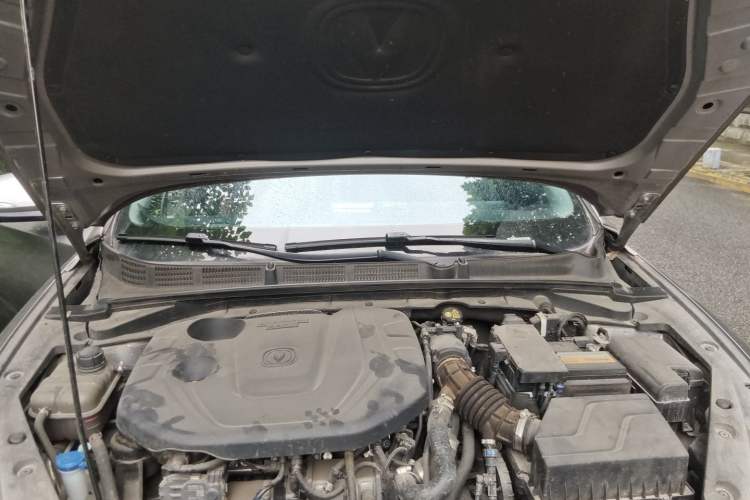 Used CHANGAN Eado 2021 PLUS Blue Whale NE 1.4T GDI DCT Prestige Model Engine Bay
