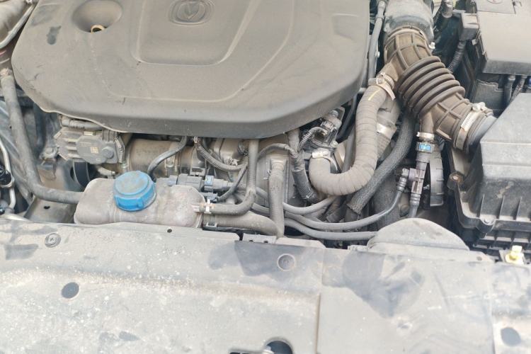 Used CHANGAN Eado 2021 PLUS Blue Whale NE 1.4T GDI DCT Prestige Model Engine Bay
