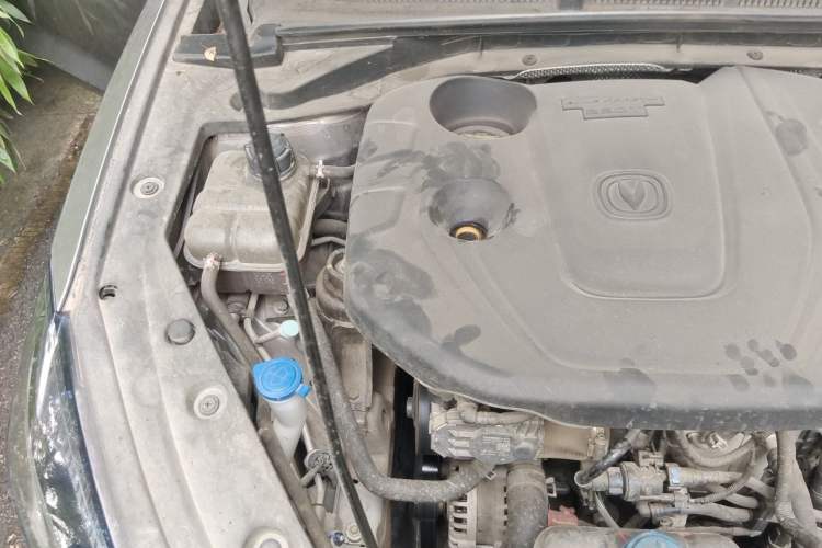 Used CHANGAN Eado 2021 PLUS Blue Whale NE 1.4T GDI DCT Prestige Model Engine Bay Right