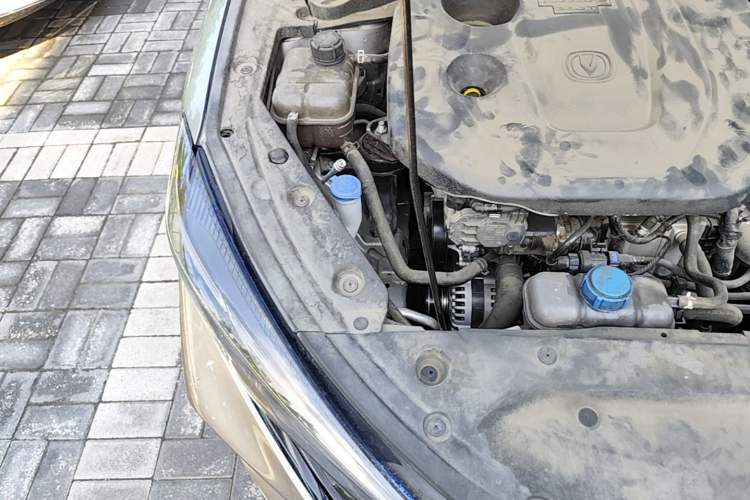 Used CHANGAN Eado 2021 PLUS Blue Whale NE 1.4T GDI DCT Prestige Model Engine Bay Right