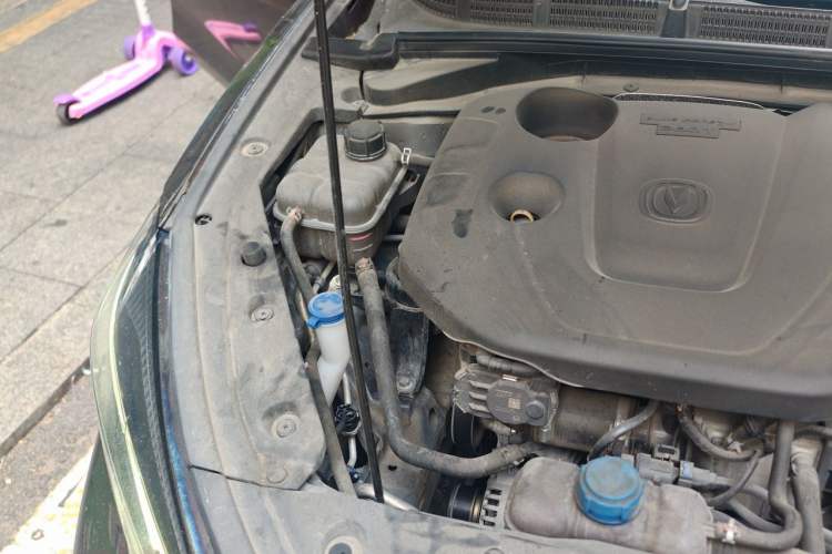 Used CHANGAN Eado 2021 PLUS Blue Whale NE 1.4T GDI DCT Prestige Model Engine Bay Right