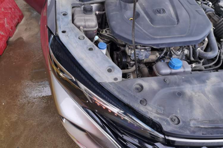 Used CHANGAN Eado 2021 PLUS Blue Whale NE 1.4T GDI DCT Flagship Model Engine Bay Right