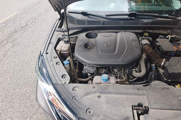 Used CHANGAN Eado 2021 PLUS Blue Whale NE 1.4T GDI DCT Prestige Model Engine Bay Right