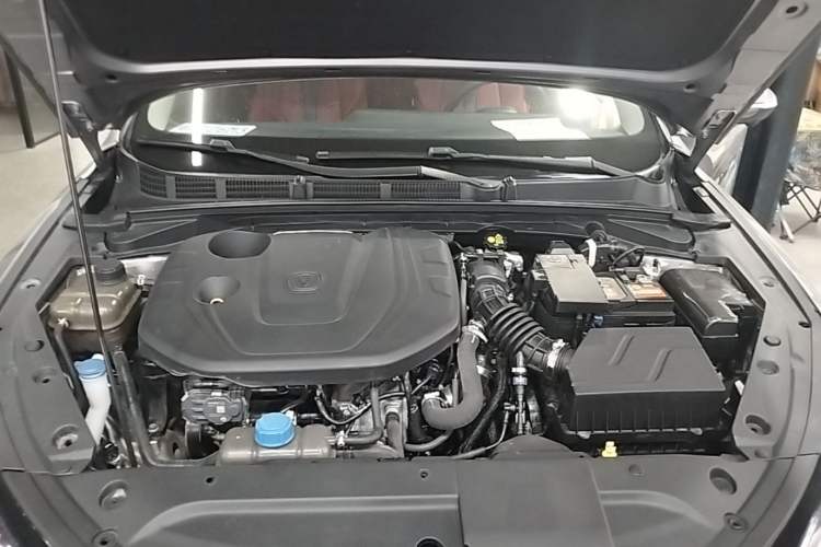 Used CHANGAN Eado 2021 PLUS Blue Whale NE 1.4T GDI DCT Prestige Model Engine Bay