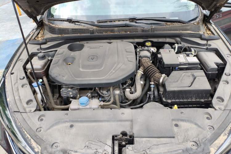 Used CHANGAN Eado 2021 PLUS Blue Whale NE 1.4T GDI DCT Flagship Model Engine Bay