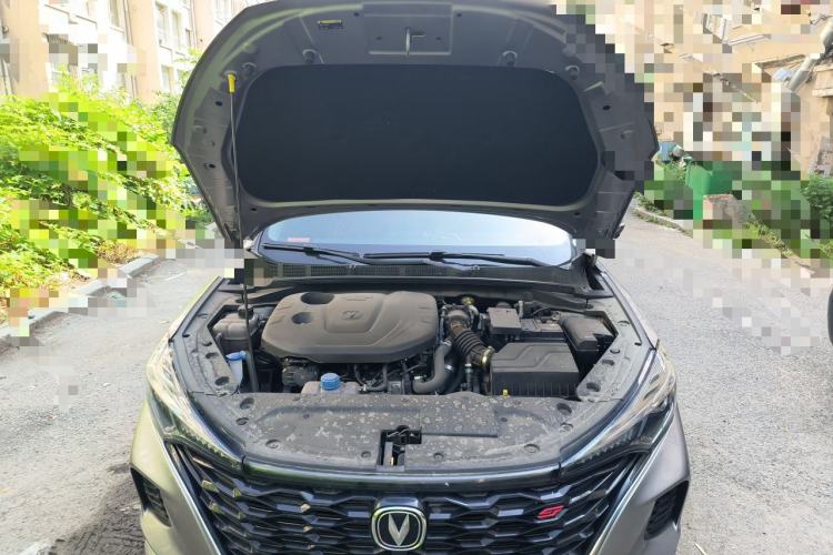 Used CHANGAN Eado 2021 PLUS Blue Whale NE 1.4T GDI DCT Prestige Model Engine Bay
