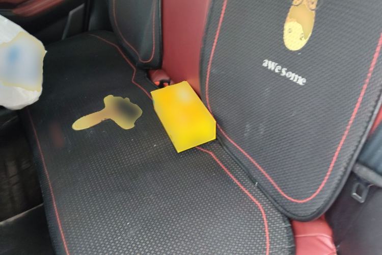 Used CHANGAN Eado 2021 PLUS Blue Whale NE 1.4T GDI DCT Prestige Model Left Rear Seat