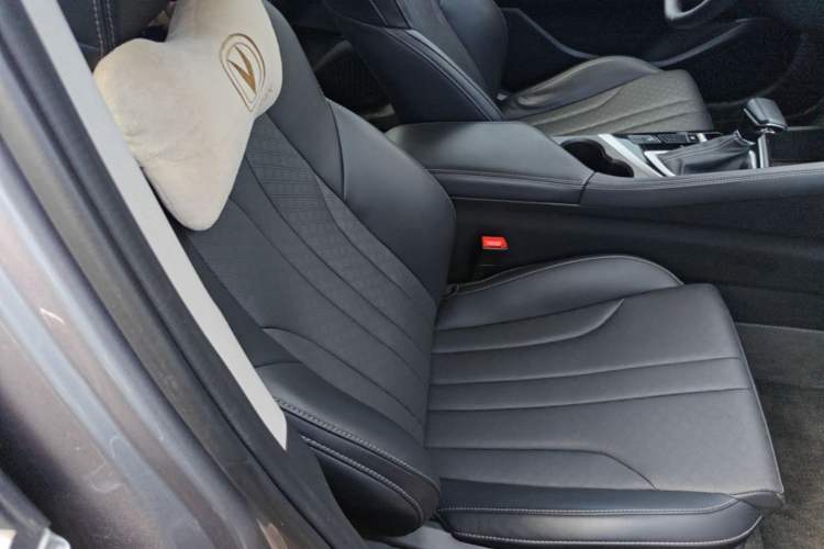 Used CHANGAN Eado 2021 PLUS 1.6L GDI CVT Luxury Model Right Front Seat