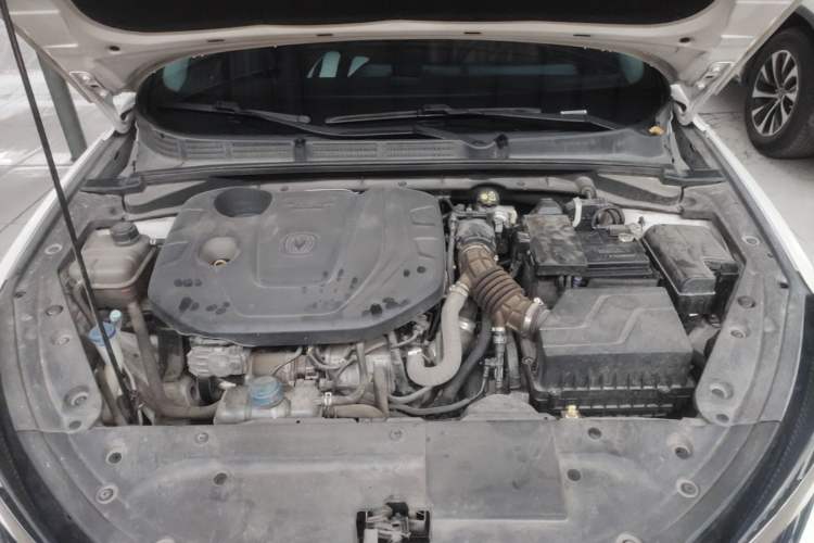 Used CHANGAN Eado 2021 PLUS Blue Whale NE 1.4T GDI DCT Prestige Model Engine Bay