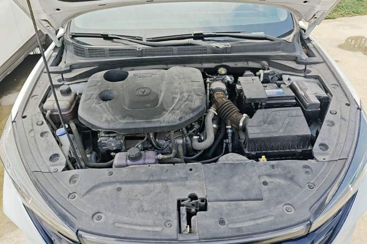 Used CHANGAN Eado 2021 PLUS Blue Whale NE 1.4T GDI DCT Prestige Model Engine Bay