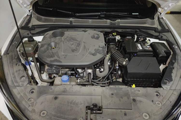 Used CHANGAN Eado 2021 PLUS Blue Whale NE 1.4T GDI DCT Prestige Model Engine Bay
