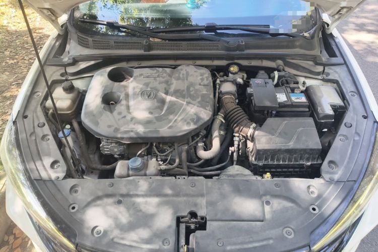 Used CHANGAN Eado 2021 PLUS Blue Whale NE 1.4T GDI DCT Prestige Model Engine Bay