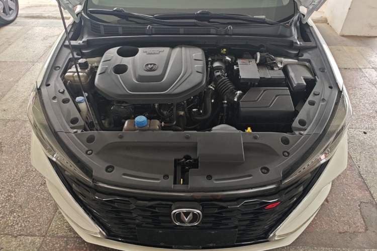 Used CHANGAN Eado 2021 PLUS Blue Whale NE 1.4T GDI DCT Prestige Model Engine Bay