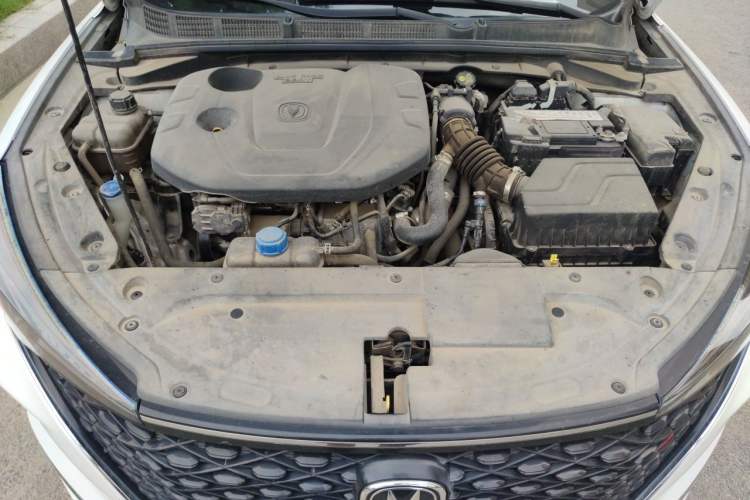 Used CHANGAN Eado 2021 PLUS Blue Whale NE 1.4T GDI DCT Prestige Model Engine Bay