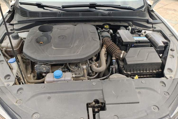 Used CHANGAN Eado 2021 PLUS Blue Whale NE 1.4T GDI DCT Prestige Model Engine Bay