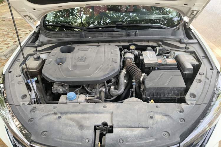 Used CHANGAN Eado 2021 PLUS Blue Whale NE 1.4T GDI DCT Prestige Model Engine Bay
