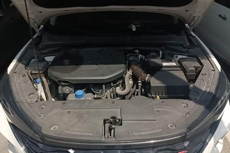 Used CHANGAN Eado 2021 PLUS Blue Whale NE 1.4T GDI DCT Prestige Model Engine Bay