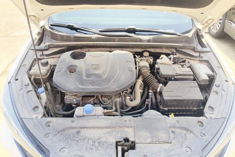 Used CHANGAN Eado 2021 PLUS Blue Whale NE 1.4T GDI DCT Prestige Model Engine Bay