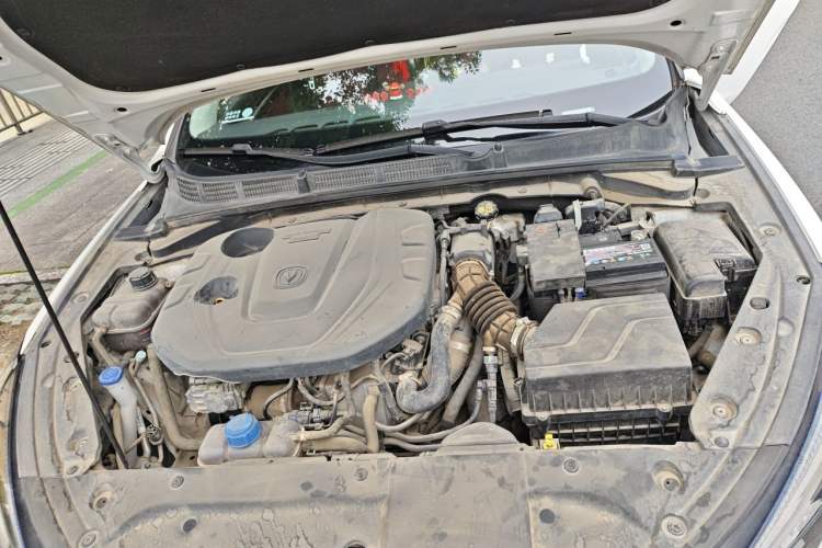 Used CHANGAN Eado 2021 PLUS Blue Whale NE 1.4T GDI DCT Prestige Model Engine Bay