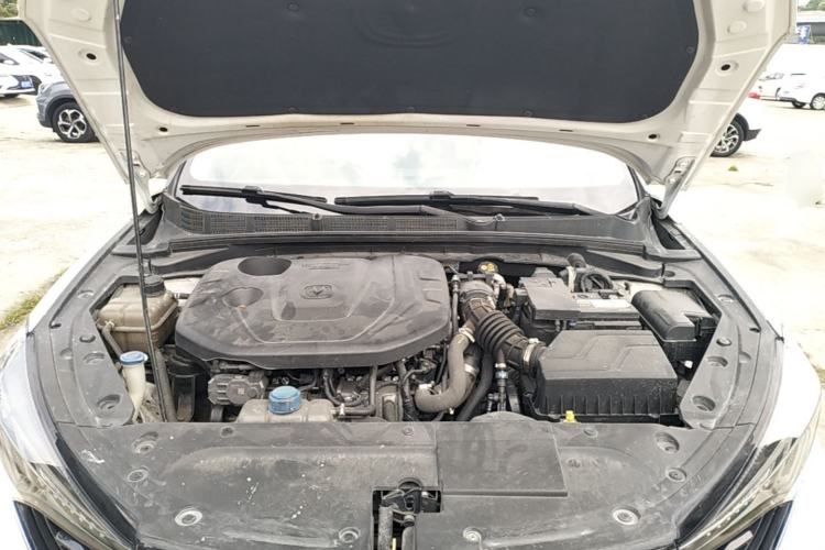 Used CHANGAN Eado 2021 PLUS Blue Whale NE 1.4T GDI DCT Prestige Model Engine Bay