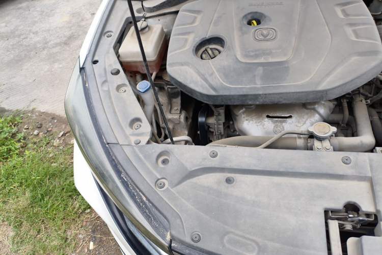 Used CHANGAN Eado 2021 PLUS 1.6L GDI Manual Luxury Model Engine Bay Right