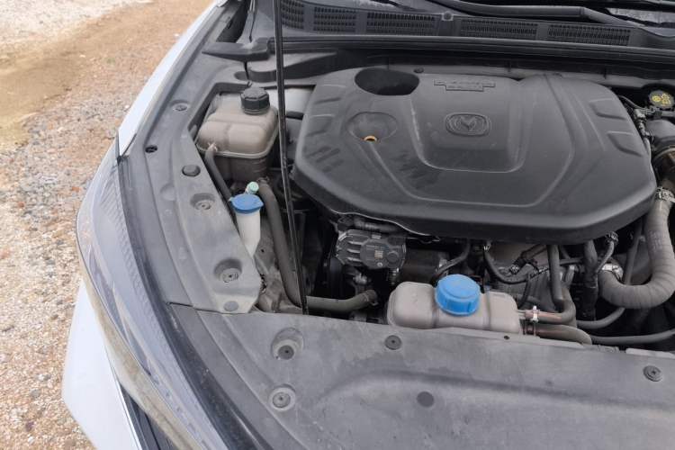 Used CHANGAN Eado 2021 PLUS Blue Whale NE 1.4T GDI DCT Prestige Model Engine Bay Right