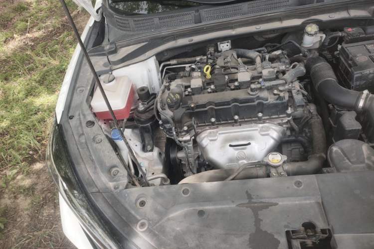 Used CHANGAN Eado 2021 PLUS 1.6L GDI CVT Elite Model Engine Bay Right