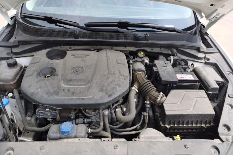 Used CHANGAN Eado 2021 PLUS Blue Whale NE 1.4T GDI DCT Prestige Model Engine Bay