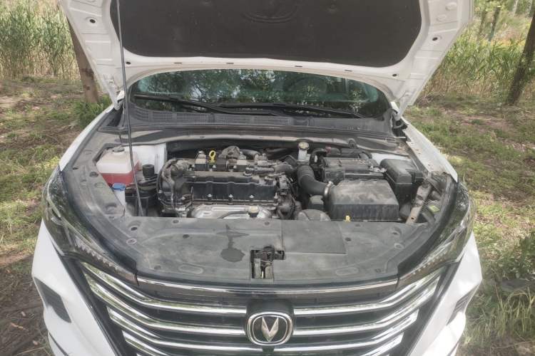 Used CHANGAN Eado 2021 PLUS 1.6L GDI CVT Elite Model Engine Bay