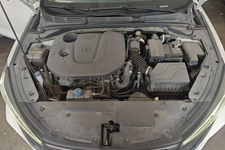 Used CHANGAN Eado 2021 PLUS Blue Whale NE 1.4T GDI DCT Prestige Model Engine Bay