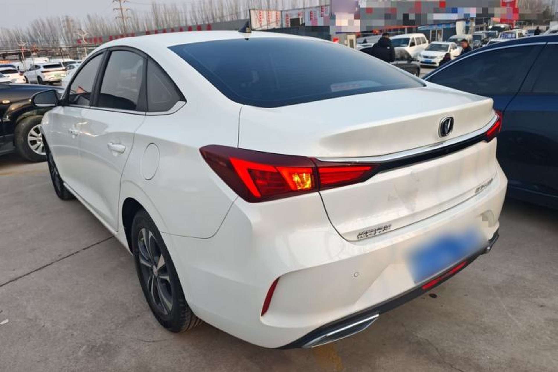 Used CHANGAN Eado 2021 PLUS 1.6L GDI CVT Luxury Model Exterior 2