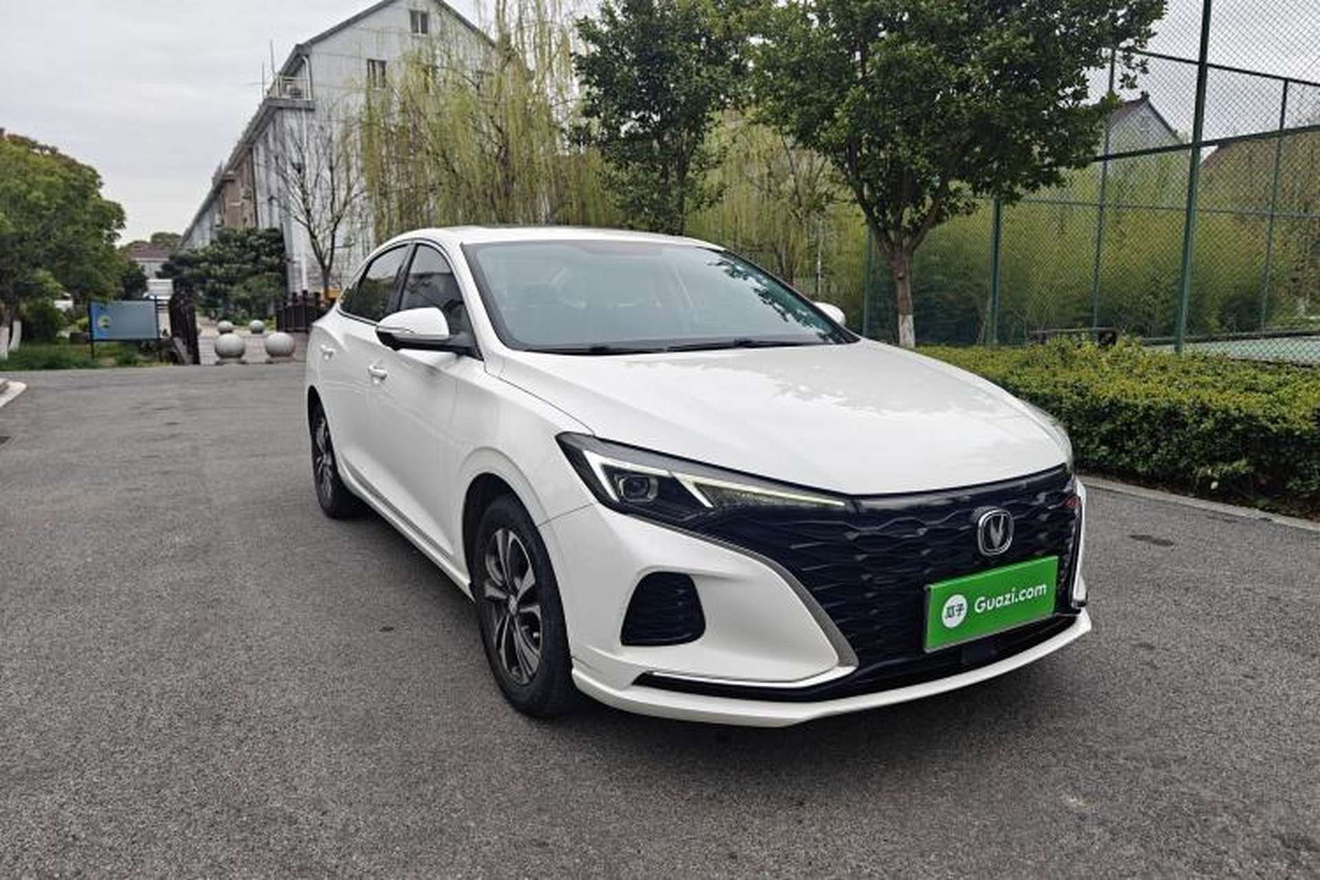 Used CHANGAN Eado 2021 PLUS Blue Whale NE 1.4T GDI DCT Prestige Model Exterior 2