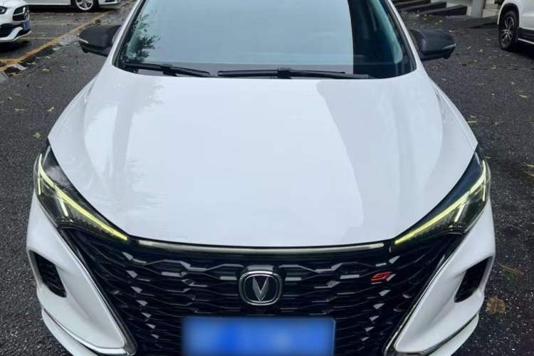 Used CHANGAN Eado 2021 PLUS Blue Whale NE 1.4T GDI DCT Prestige Model Exterior 5
