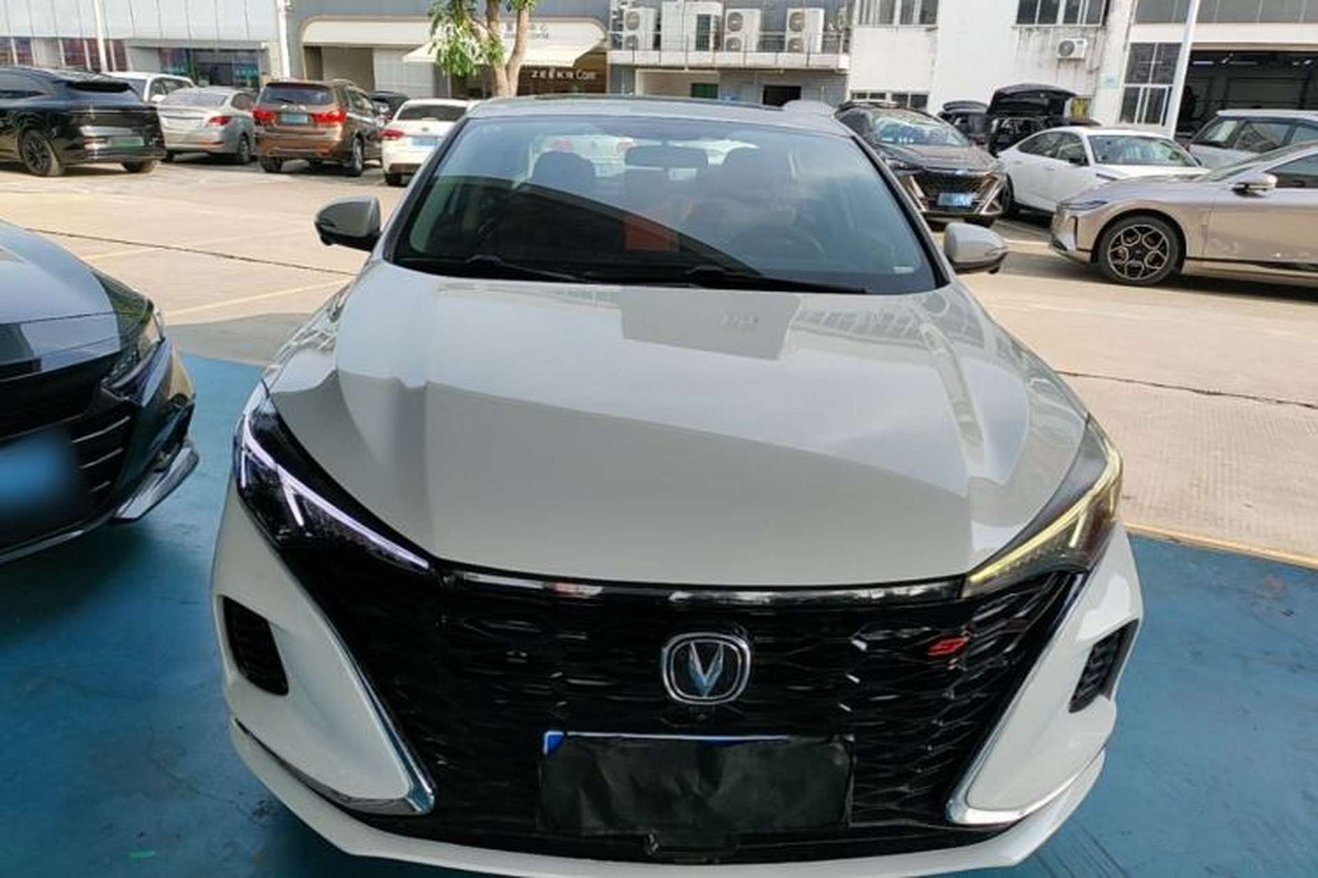 Used CHANGAN Eado 2021 PLUS Blue Whale NE 1.4T GDI DCT Prestige Model Front