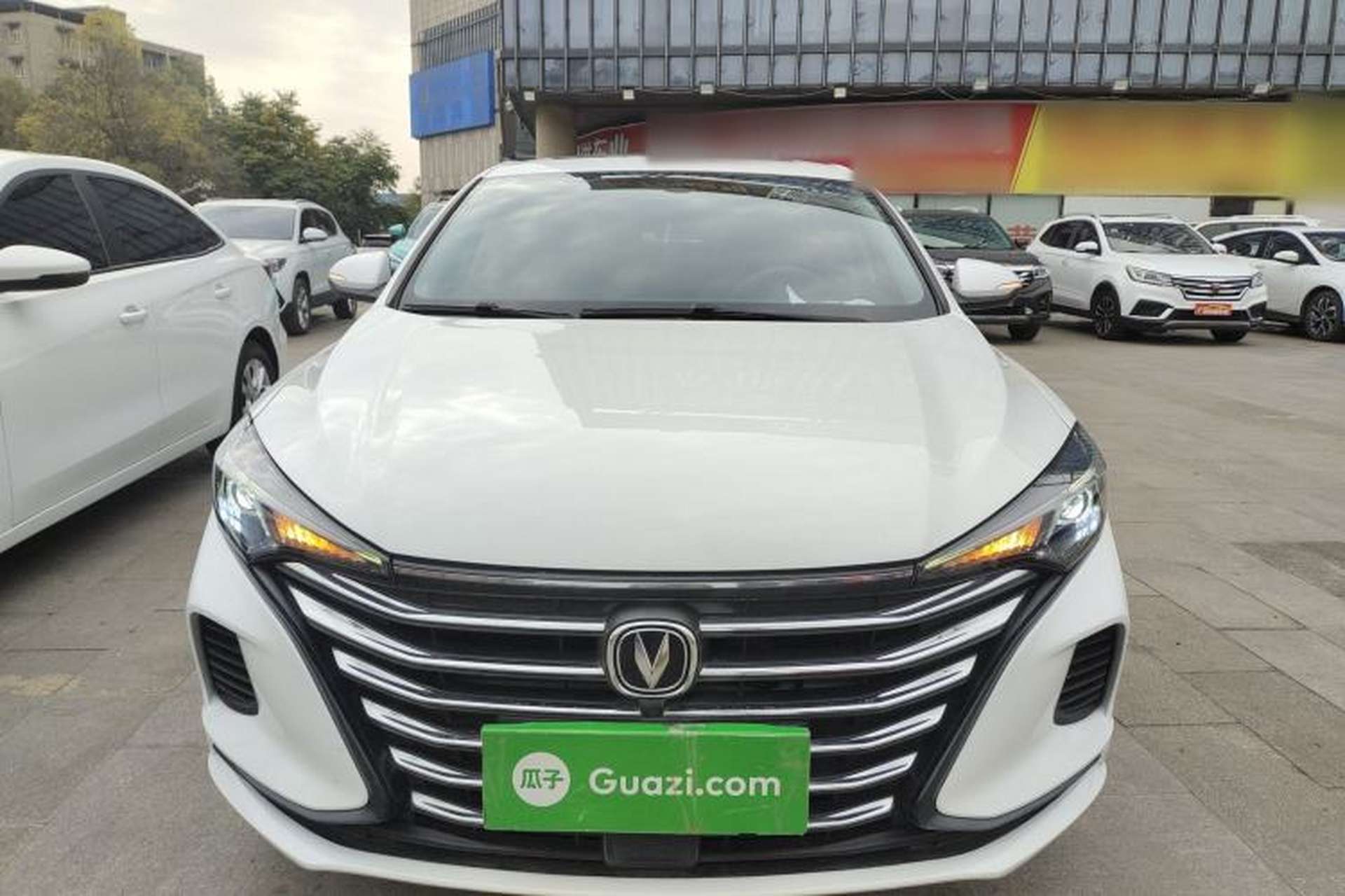 Used CHANGAN Eado 2021 PLUS 1.6L GDI Manual Luxury Model Front