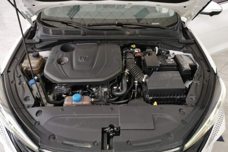 Used CHANGAN Eado 2021 PLUS Blue Whale NE 1.4T GDI DCT Flagship Model Interior 8