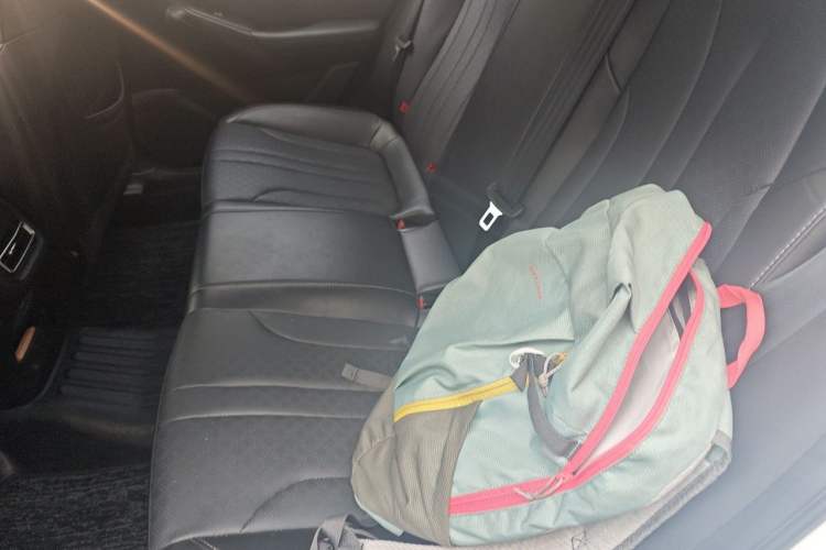 Used CHANGAN Eado 2021 PLUS 1.6L GDI CVT Luxury Model Left Rear Seat