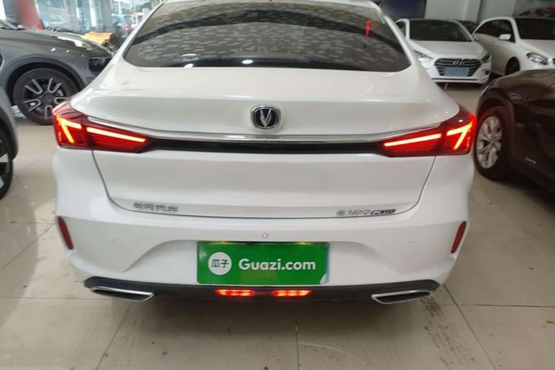Used CHANGAN Eado 2021 PLUS 1.6L GDI CVT Luxury Model Rear