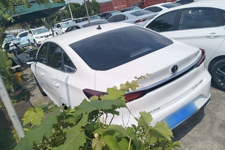 Used CHANGAN Eado 2021 PLUS 1.6L GDI CVT Luxury Model Rear Left 45 Deg