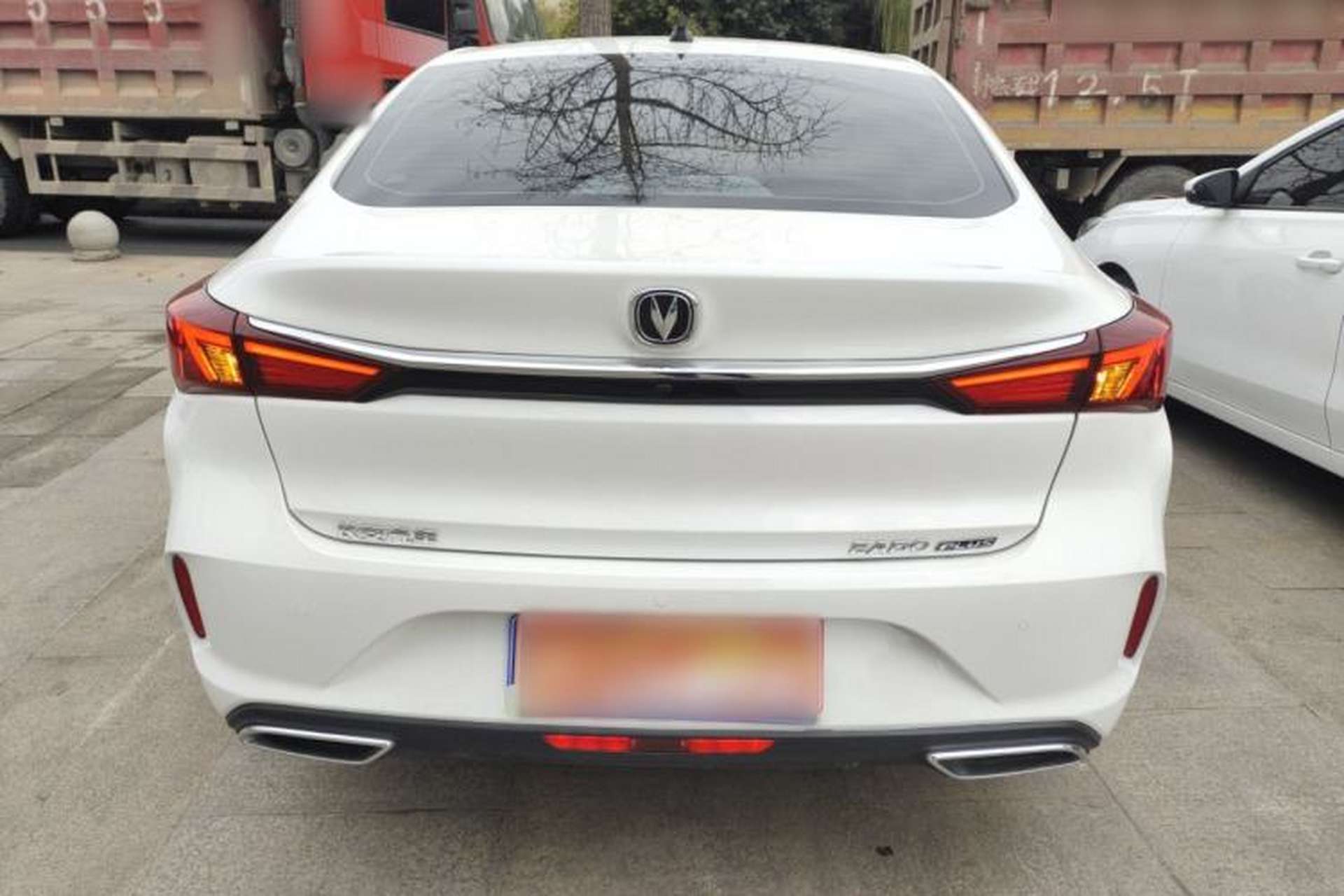 Used CHANGAN Eado 2021 PLUS 1.6L GDI Manual Luxury Model Rear
