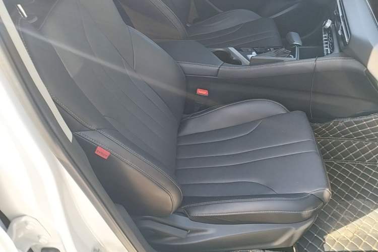Used CHANGAN Eado 2021 PLUS 1.6L GDI CVT Luxury Model Right Front Seat