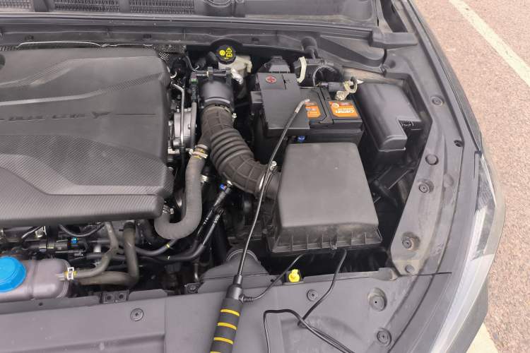 Used CHANGAN Eado 2022 PLUS Blue Whale NE 1.4T GDI DCT Prestige Edition Engine Bay Left