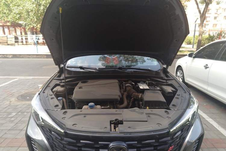 Used CHANGAN Eado 2022 PLUS Blue Whale NE 1.4T GDI DCT Prestige Edition Engine Bay