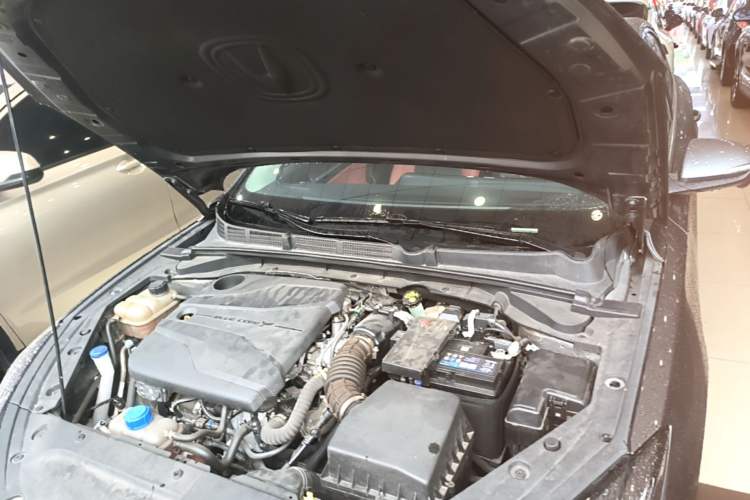 Used CHANGAN Eado 2022 PLUS Blue Whale NE 1.4T GDI DCT Prestige Edition Engine Bay