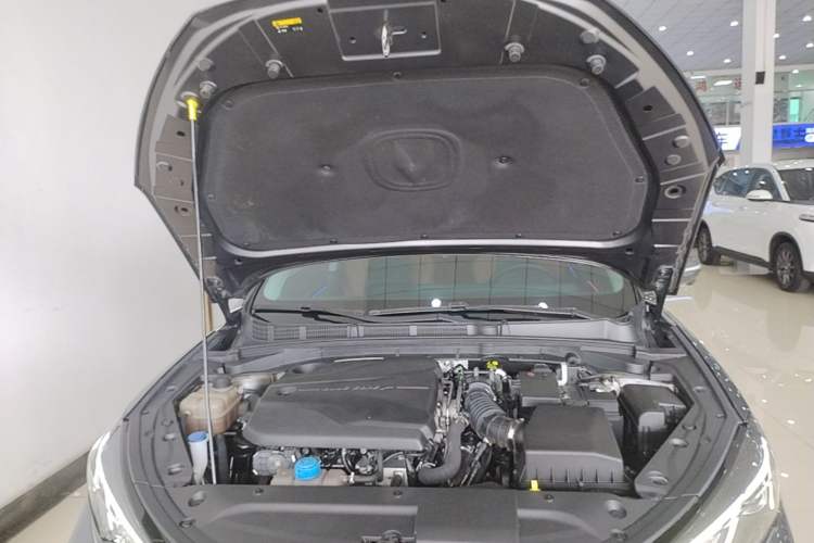 Used CHANGAN Eado 2022 PLUS Blue Whale NE 1.4T GDI DCT Prestige Edition Engine Bay