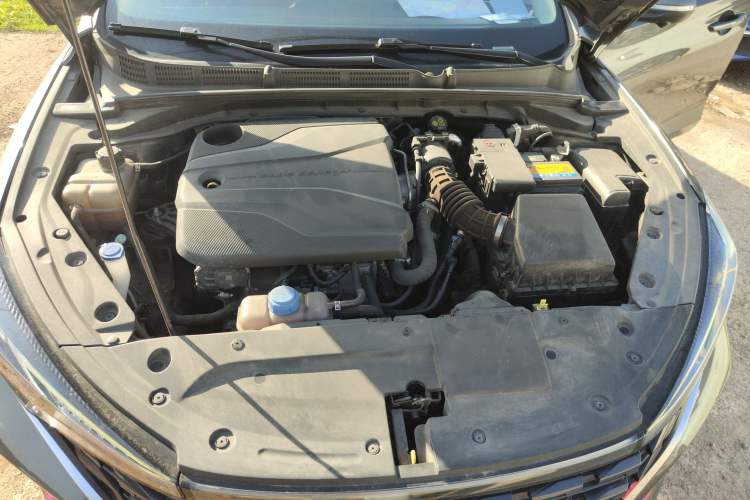 Used CHANGAN Eado 2022 PLUS Blue Whale NE 1.4T GDI DCT Prestige Edition Engine Bay